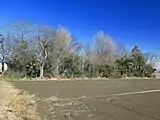 南側より全景を望む