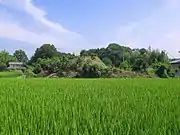 白山古墳群・神明山古墳（行田市）