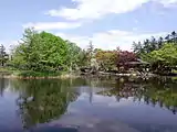 初夏の新緑