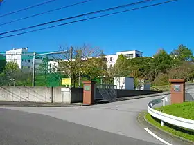 法人本部