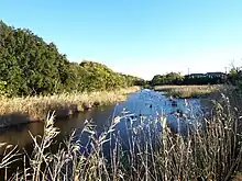市川野鳥の楽園