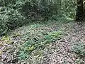 不動堂前の石段