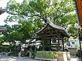 鐘楼と大楠（後方）