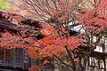 紅葉の頃の長寿館(2009年10月25日)