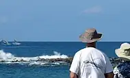 個体数を計測する調査の光景（ハワイ諸島）