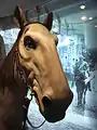 馬の実物大模型