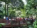 香港公園中心部の禽舎(英語版)の中