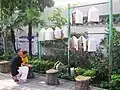 鳥を見る市民