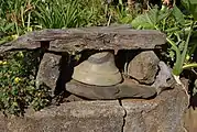 バウンティの鐘