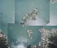1981年