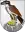 Habkern