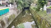 八幡川（八幡町内）