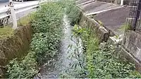 八幡川（宝ケ丘町内）