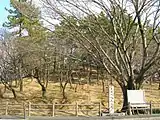 八幡山古墳