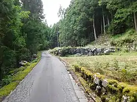 蓮の石垣(2018年)