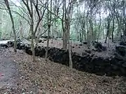放牧場の石垣跡