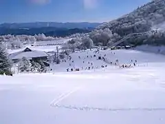 茶臼山高原スキー場(北設楽郡豊根村)