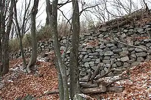 埴原城の石垣