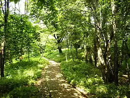 箱根山