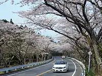 4月ごろの湘南ビュー展望台付近