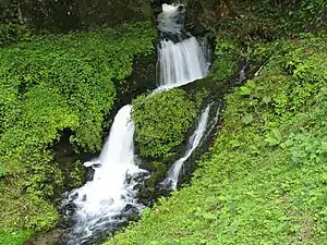 山雀の瀑
