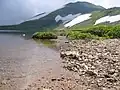 白馬大池の畔にて(06/8/4撮影)