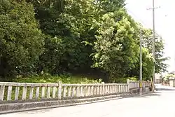 守山白山古墳（2018年6月）
