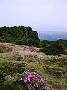 観音寺登山路にて(2)(2008年6月)