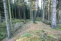 ボルベルクの環状土塁