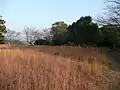 本丸