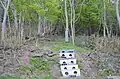 浜益側の山道入り口