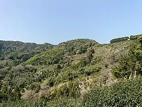 花倉城遠景。2020年(令和2年)3月21日。