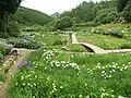 花の郷滝谷 花しょうぶ園