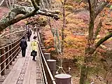 花貫渓谷の汐見滝吊り橋（2009年11月20日撮影）