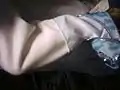 図3：足