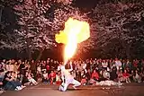 永登浦 汝矣島 春の花祭り(ソウル特別市)