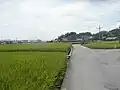 地内の農地小字沢田で撮影