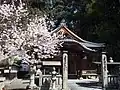 歓喜天堂と彼岸桜