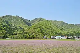 城山城のある亀山(城山、中央)