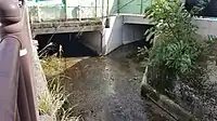 一里塚川と春雨川の合流点
