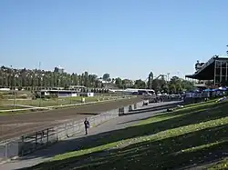 ヘイスティングス競馬場場内