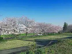 元荒川河川敷公園