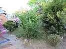 宮内に残る畑繋堤跡。松枝輪中堤で唯一の現存部。