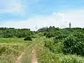 島中心部（中央に鳩間中森、右側に灯台が見える）