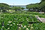 初立池公園