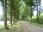 給水所道路