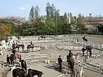 乗馬センター