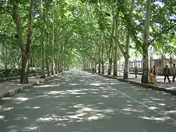 区内の西苑路