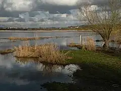 グレーヌ湿地