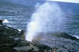 スパウティング・ホーン